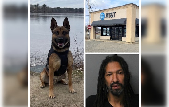 Brockton K-9 Hero Hawks Down Suspects in Armed Robbery at AT&T Store