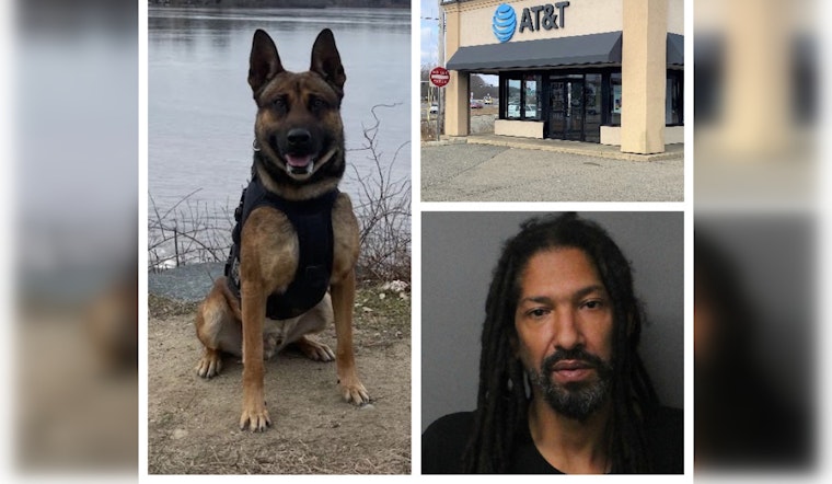Brockton K-9 Hero Hawks Down Suspects in Armed Robbery at AT&T Store