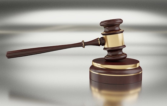 Bronx Man Sentenced to 24 Years for Manslaughter Using Victim's Own Car in Queens