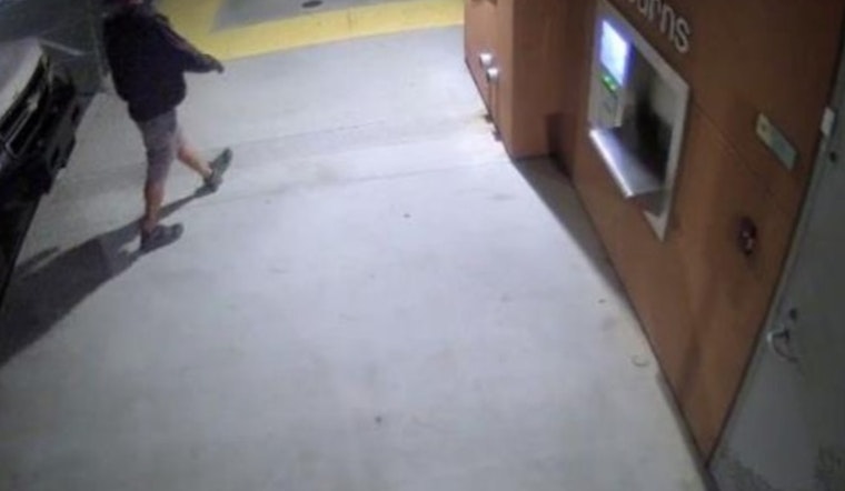 UPDATE: Bronze Bandit Targets San Diego County Libraries, Sheriff Seeks Bald Suspect In White Pickup