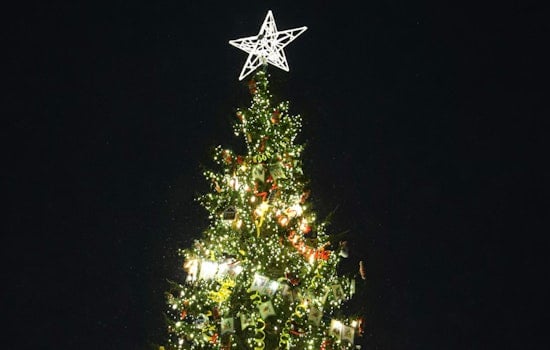 Brooklyn Brightens Up with Festive Tree Lightings and Holiday Events across the Borough