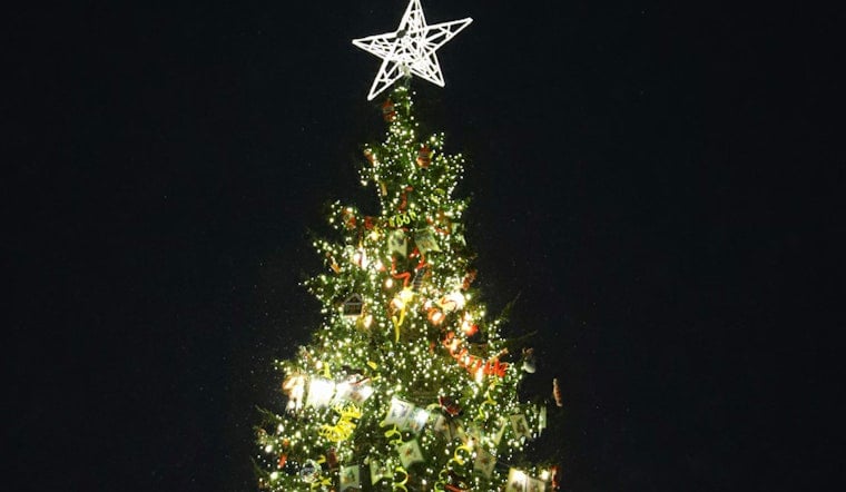 Brooklyn Brightens Up with Festive Tree Lightings and Holiday Events across the Borough