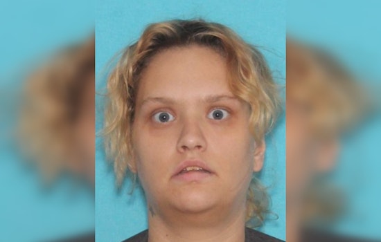 Brooklyn Center Police Seek Public's Help in Locating Missing Minnesota Woman En Route to St. Paul