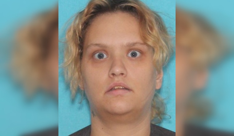 Brooklyn Center Police Seek Public's Help in Locating Missing Minnesota Woman En Route to St. Paul