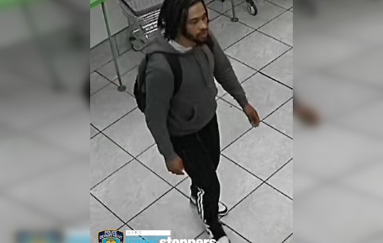 Brooklyn Community Shaken Following Sexual Assault of 12-Year-Old Girl in East Williamsburg Housing Complex