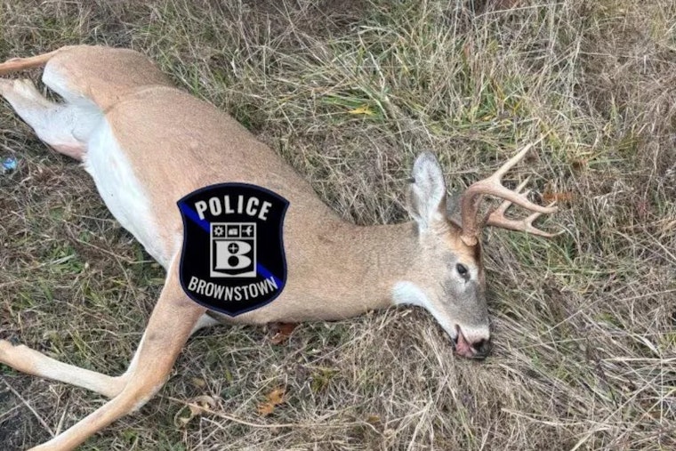 Brownstown Township Residents Alarmed by Illegal Deer Hunting, Authorities Respond to Violation Near Telegraph Road