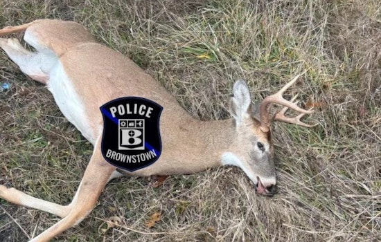 Brownstown Township Residents Alarmed by Illegal Deer Hunting, Authorities Respond to Violation Near Telegraph Road