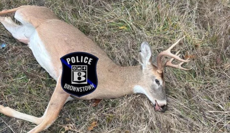 Brownstown Township Residents Alarmed by Illegal Deer Hunting, Authorities Respond to Violation Near Telegraph Road