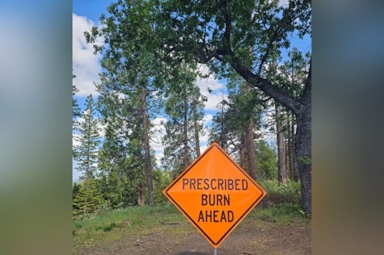 CAL FIRE and Sierra Pacific Industries Team Up for Controlled Burn in El Dorado County to Curb Wildfire Risks