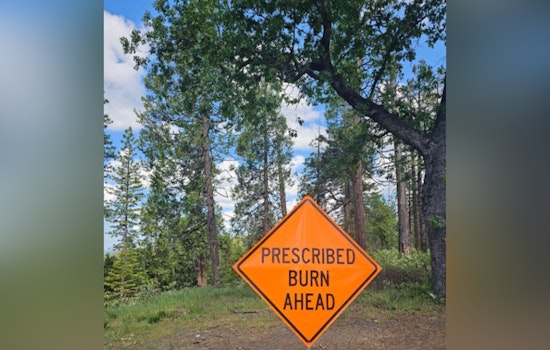 CAL FIRE and Sierra Pacific Industries Team Up for Controlled Burn in El Dorado County to Curb Wildfire Risks