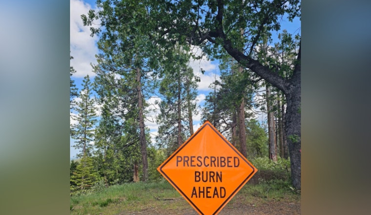 CAL FIRE and Sierra Pacific Industries Team Up for Controlled Burn in El Dorado County to Curb Wildfire Risks