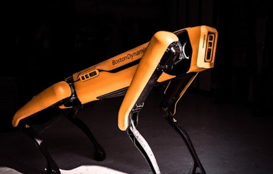 Caltrans Robo-Dog Signals Alert but Footage Shows No Crime