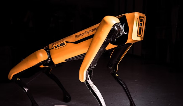 Caltrans Robo-Dog Signals Alert but Footage Shows No Crime