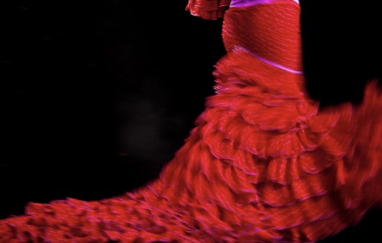 Cambridge's The Dance Complex to Host Omayra Amaya's "Velada Flamenca" Celebration of Flamenco Culture