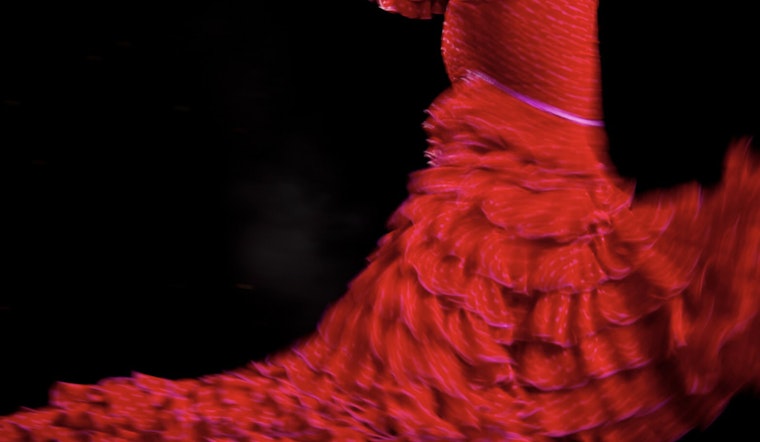 Cambridge's The Dance Complex to Host Omayra Amaya's "Velada Flamenca" Celebration of Flamenco Culture