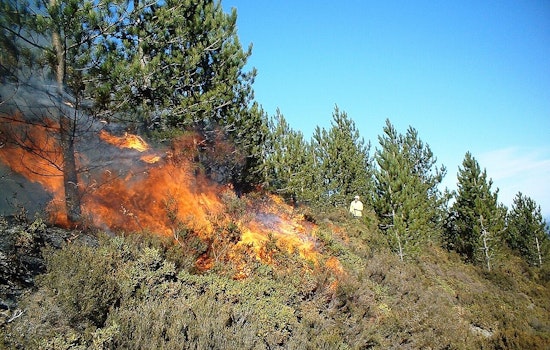 Canal Fire Flares On Private Madera Land As Officials Seek Answers
