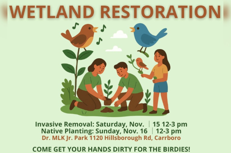 Carrboro Hosts Volunteer Events at Dr. Martin Luther King Jr. Park to Address Invasive Species and Plant Native Flora