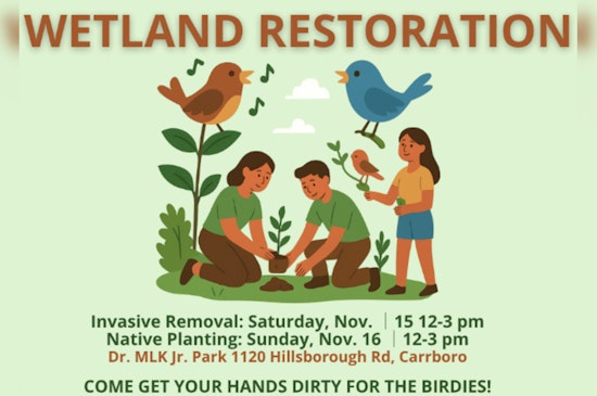 Carrboro Hosts Volunteer Events at Dr. Martin Luther King Jr. Park to Address Invasive Species and Plant Native Flora