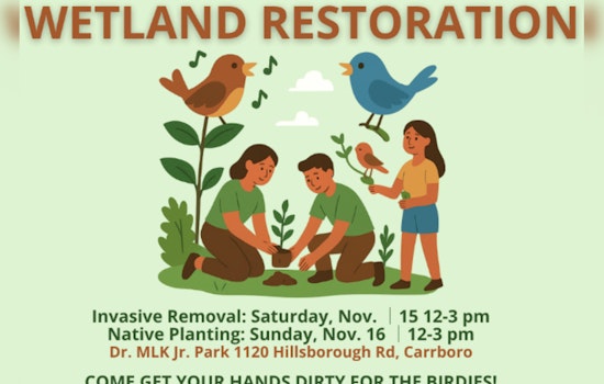 Carrboro Hosts Volunteer Events at Dr. Martin Luther King Jr. Park to Address Invasive Species and Plant Native Flora
