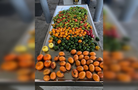 CBP Warns Against Importing Banned Agricultural Goods During Holidays, Fines for Violations Highlighted