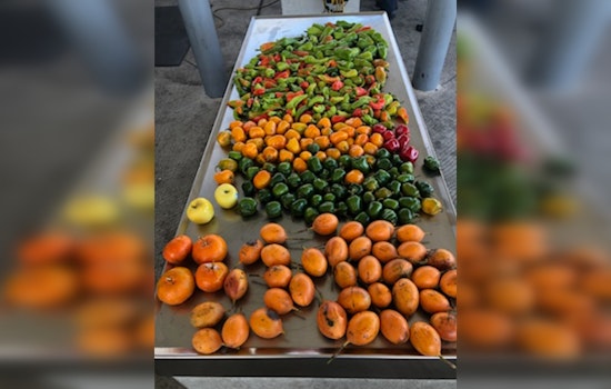 CBP Warns Against Importing Banned Agricultural Goods During Holidays, Fines for Violations Highlighted