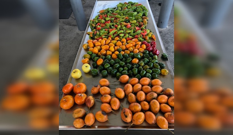 CBP Warns Against Importing Banned Agricultural Goods During Holidays, Fines for Violations Highlighted