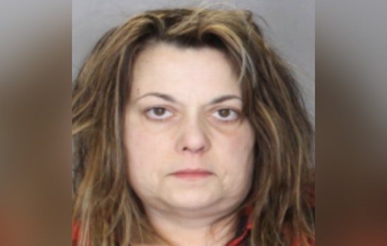 Centereach Resident Pleads Guilty to Major Drug Trafficking Charges, Operated Dark Web Enterprise "Mamaknowsbrown"