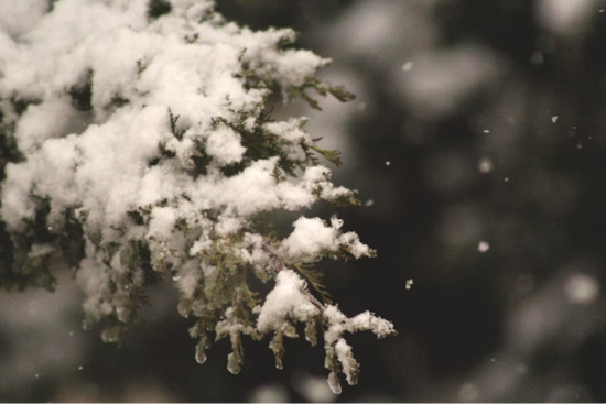 Central Ohio Encounters Season’s First Snowfall, Columbus Sees Half-Inch Accumulation
