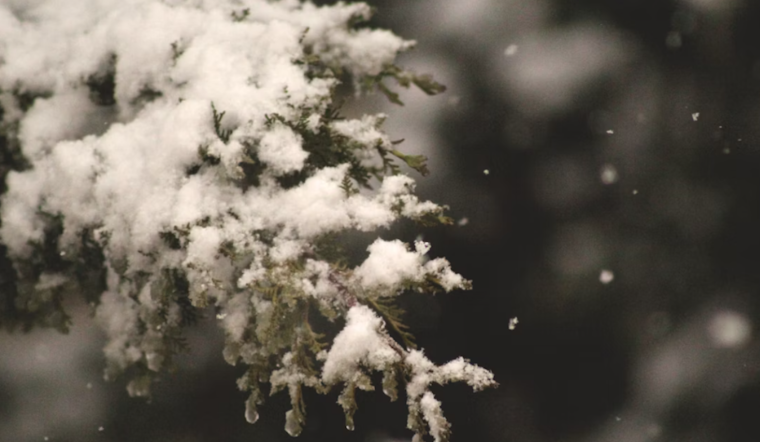 Central Ohio Encounters Season’s First Snowfall, Columbus Sees Half-Inch Accumulation