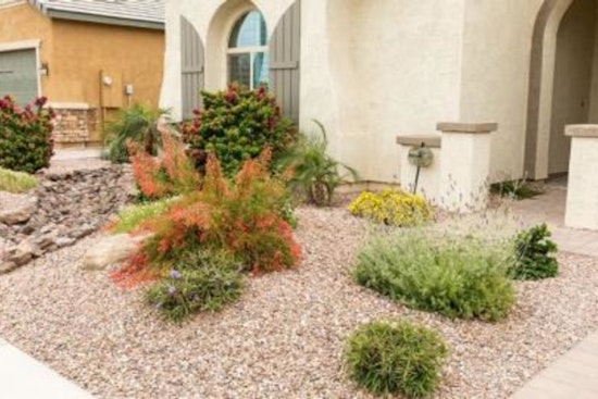 Chandler Revises Water Conservation Rebates to Sustain Program Participation and Manage Funding