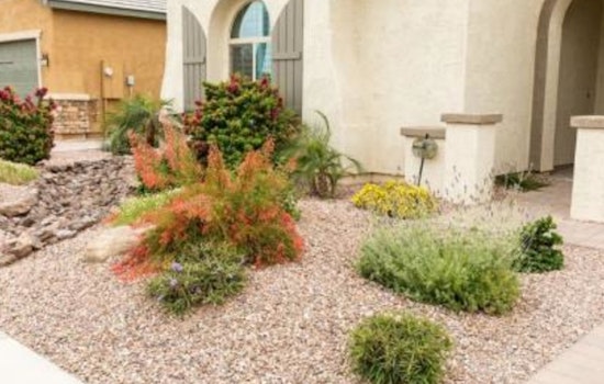 Chandler Revises Water Conservation Rebates to Sustain Program Participation and Manage Funding