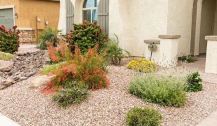 Chandler Revises Water Conservation Rebates to Sustain Program Participation and Manage Funding