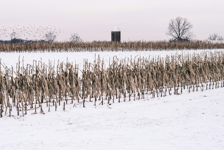 Charlotte Area Hit with Freeze Warning, NWS Urges Protection for Crops and Plumbing