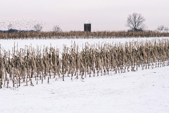 Charlotte Area Hit with Freeze Warning, NWS Urges Protection for Crops and Plumbing