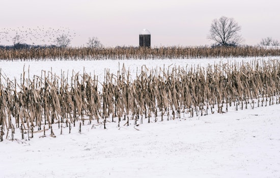 Charlotte Area Hit with Freeze Warning, NWS Urges Protection for Crops and Plumbing