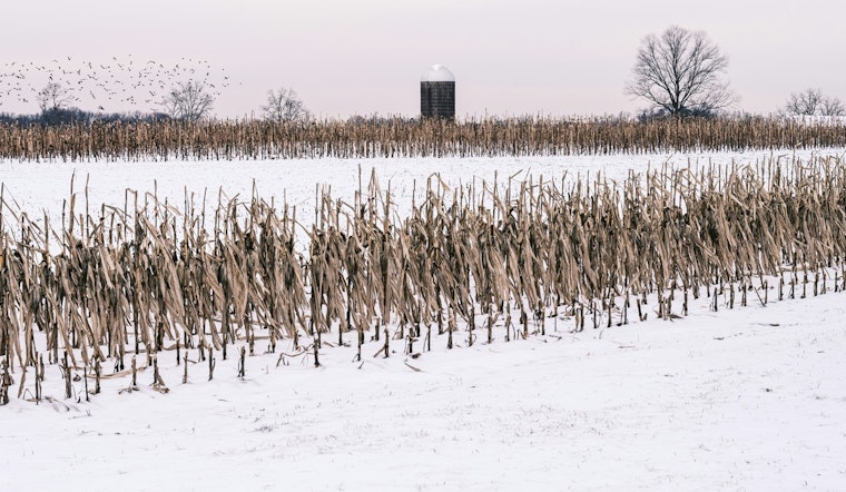 Charlotte Area Hit with Freeze Warning, NWS Urges Protection for Crops and Plumbing