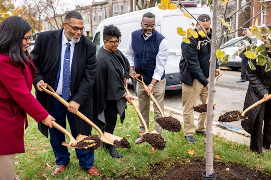 Chicago Nears "Our Roots" Goal with 90% of Tree-Planting Target Achieved, Boosting Equity in City's Greenery