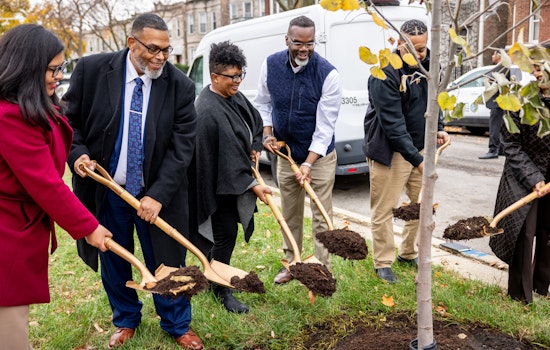 Chicago Nears "Our Roots" Goal with 90% of Tree-Planting Target Achieved, Boosting Equity in City's Greenery