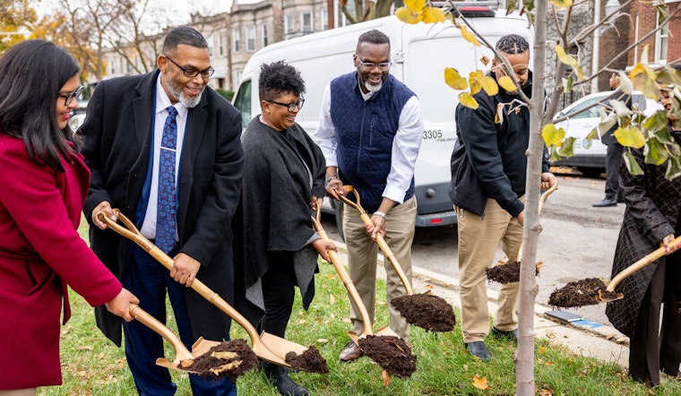 Chicago Nears "Our Roots" Goal with 90% of Tree-Planting Target Achieved, Boosting Equity in City's Greenery