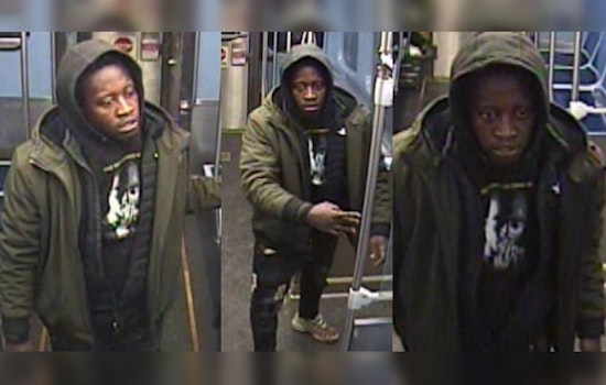 Chicago Police Issue Alert After Robbery and Battery on CTA Red Line in Armour Square