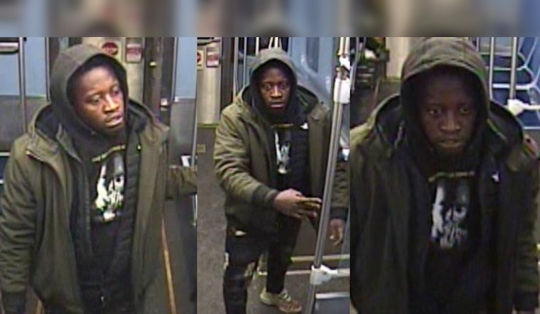 Chicago Police Issue Alert After Robbery and Battery on CTA Red Line in Armour Square