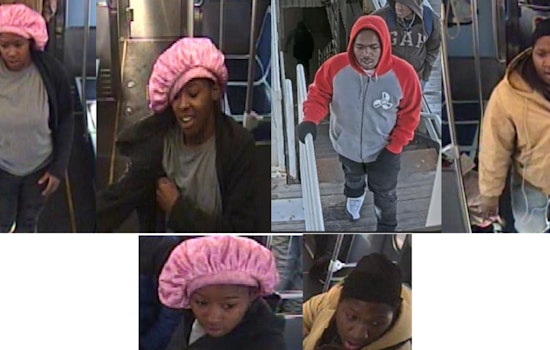 Chicago Police Issue Community Alert After Armed Robbery on Red Line Train in Fuller Park