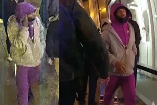 Chicago Police Seek Person of Interest After Teen Killed, Eight Wounded in Loop Shootings Following Tree Lighting