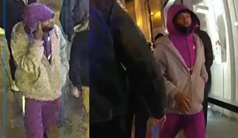 Chicago Police Seek Person of Interest After Teen Killed, Eight Wounded in Loop Shootings Following Tree Lighting