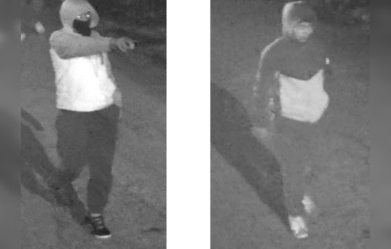 Chicago Police Seek Public's Help After Sexual Assault in Albany Park; Suspects At Large