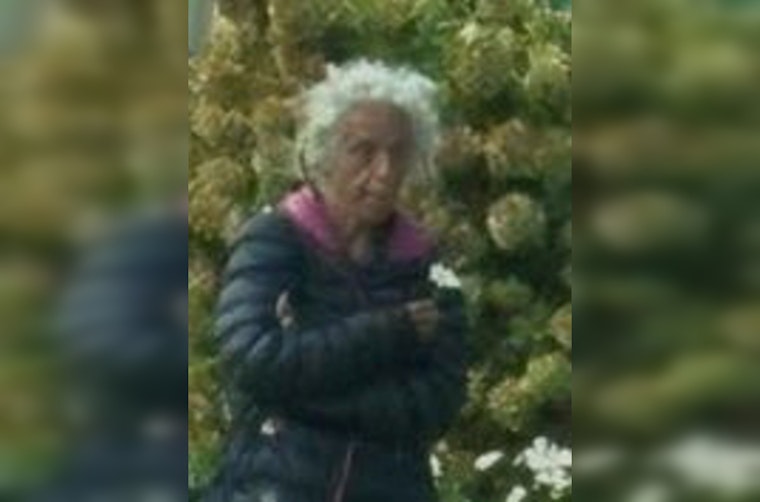Chicago Police Seek Public's Help to Locate Missing 54-Year-Old Lisa Cavoto
