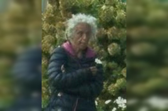 Chicago Police Seek Public's Help to Locate Missing 54-Year-Old Lisa Cavoto