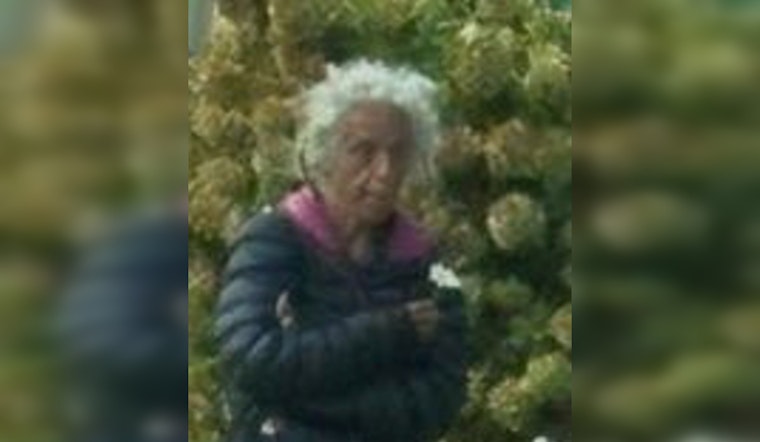 Chicago Police Seek Public's Help to Locate Missing 54-Year-Old Lisa Cavoto