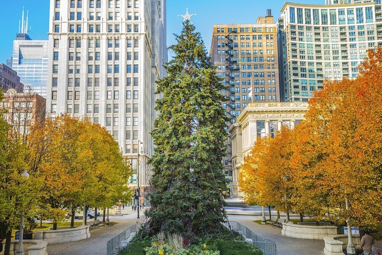 Chicago's 2025 Holiday Season to Sparkle with 68-foot Norway Spruce from Glenview