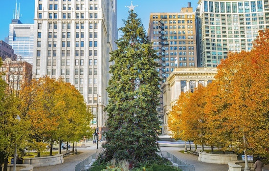 Chicago's 2025 Holiday Season to Sparkle with 68-foot Norway Spruce from Glenview